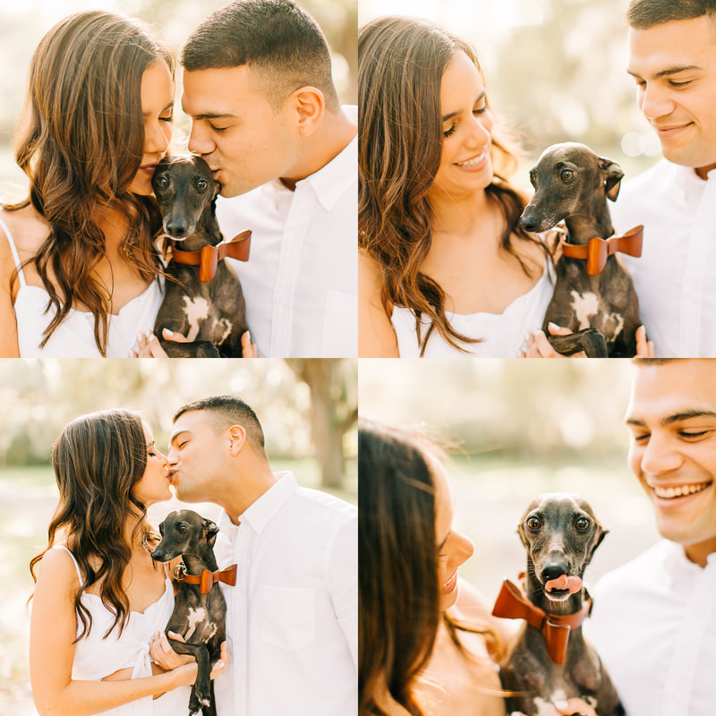 How to include a dog in your pictures, Miami Wedding Photographer