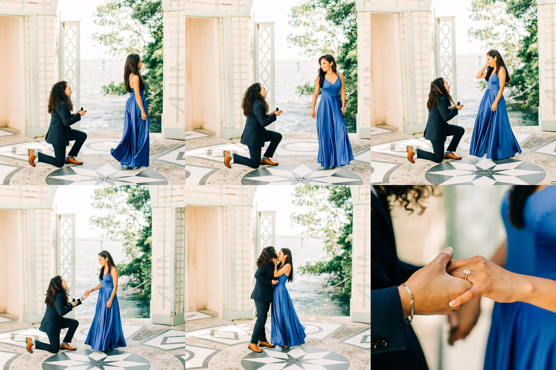 raleigh-wedding-photographer-miami-engagement-photographer-vizcaya-proposal-engagement-she-said-yes