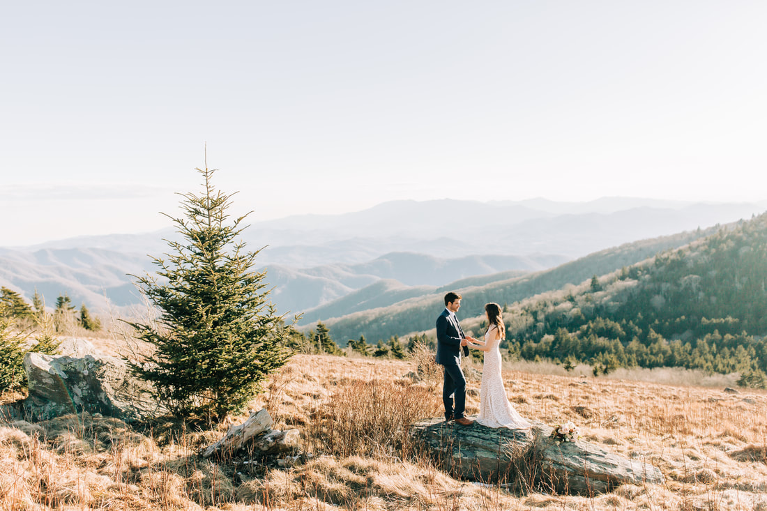 Asheville wedding photographer travels to Roan Mountain for an Elopement with mountain view ceremony